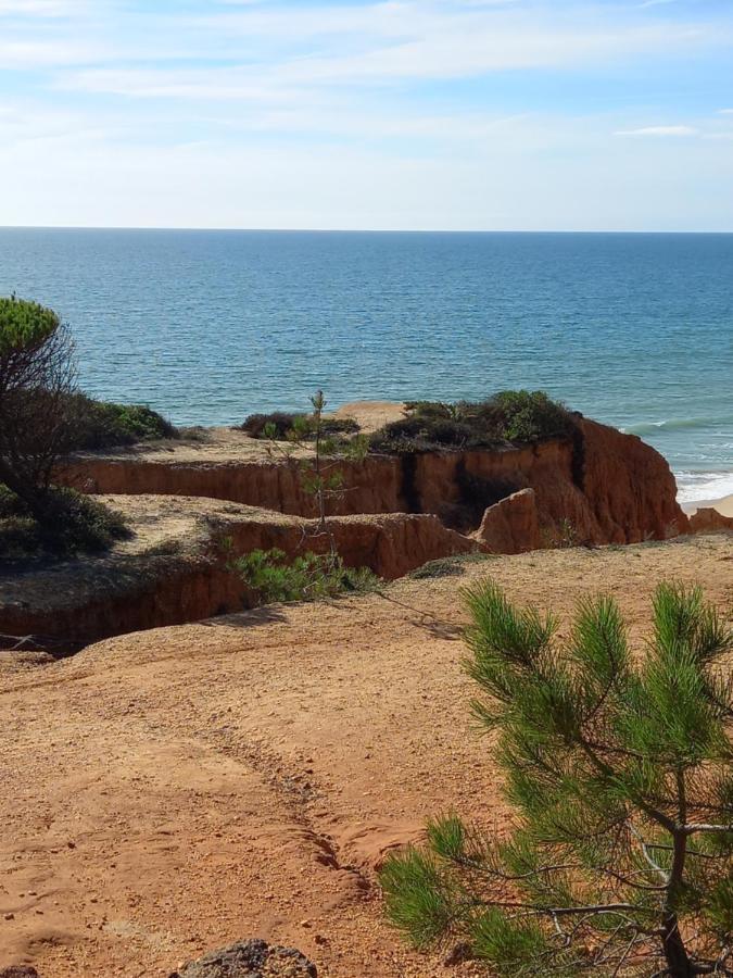 Paradise On The Beach Albufeira Eksteriør bilde